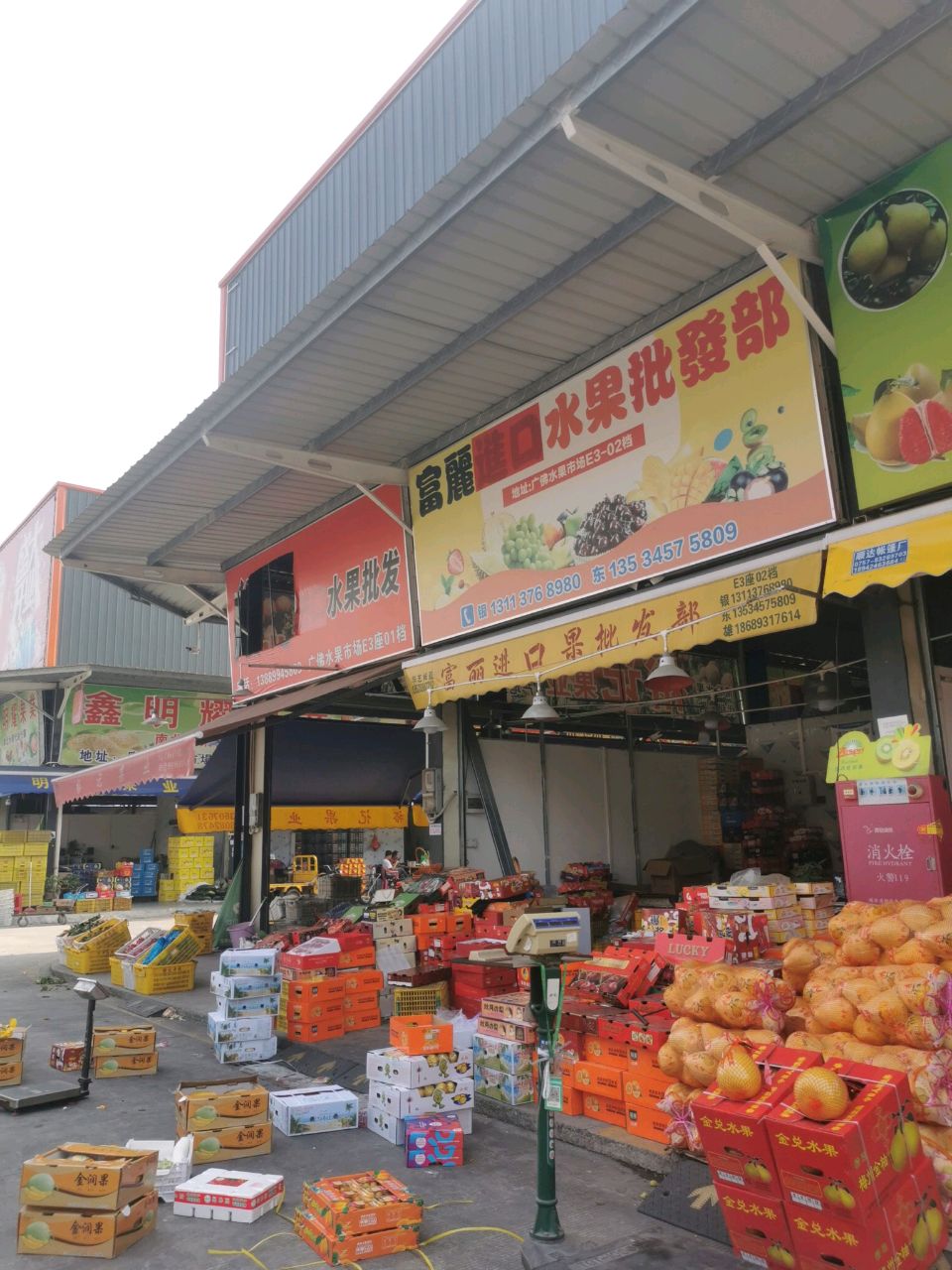 富丽进口水果批发部