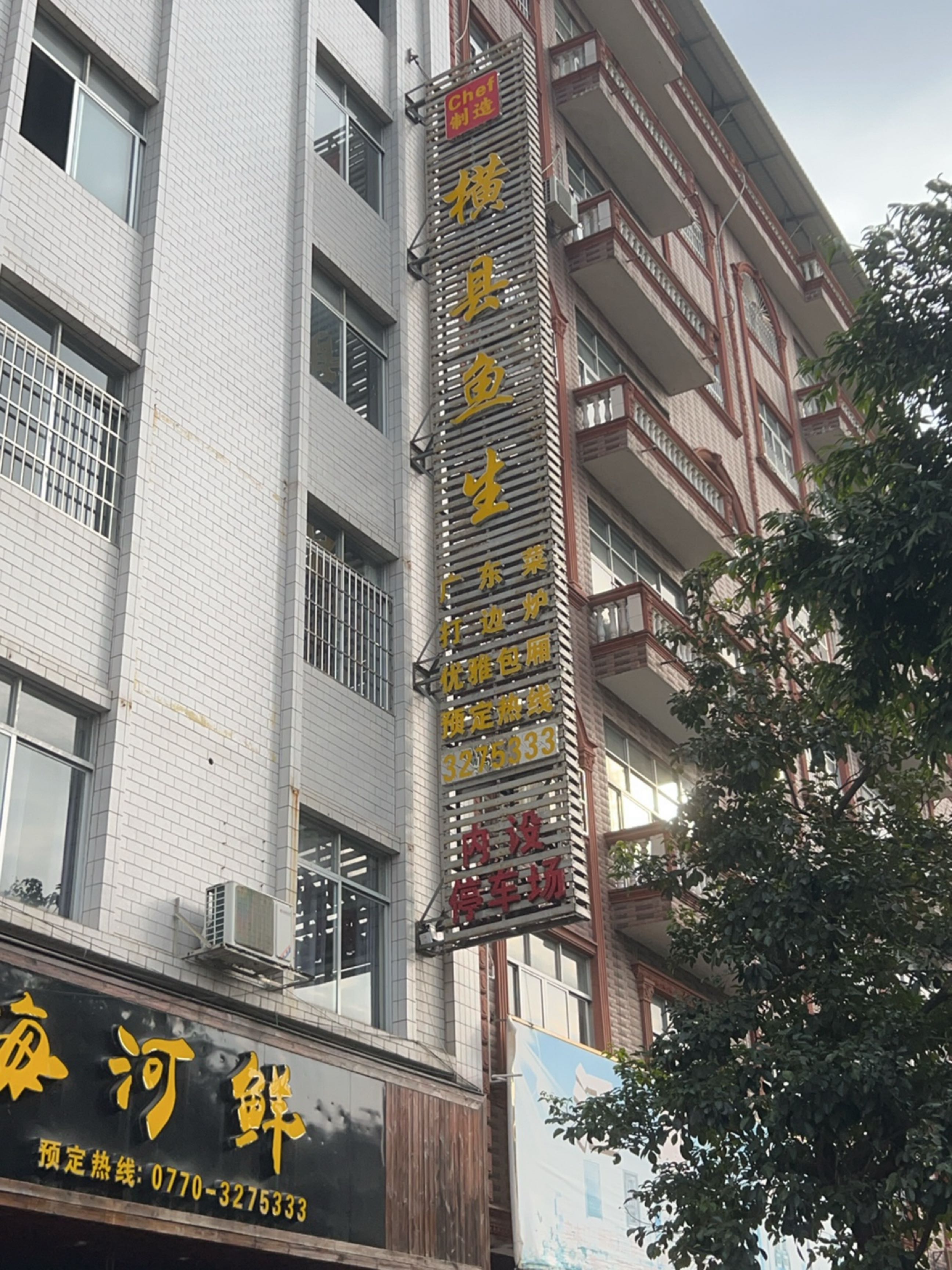 江海河鲜·横县鱼生(防城群星大道店)