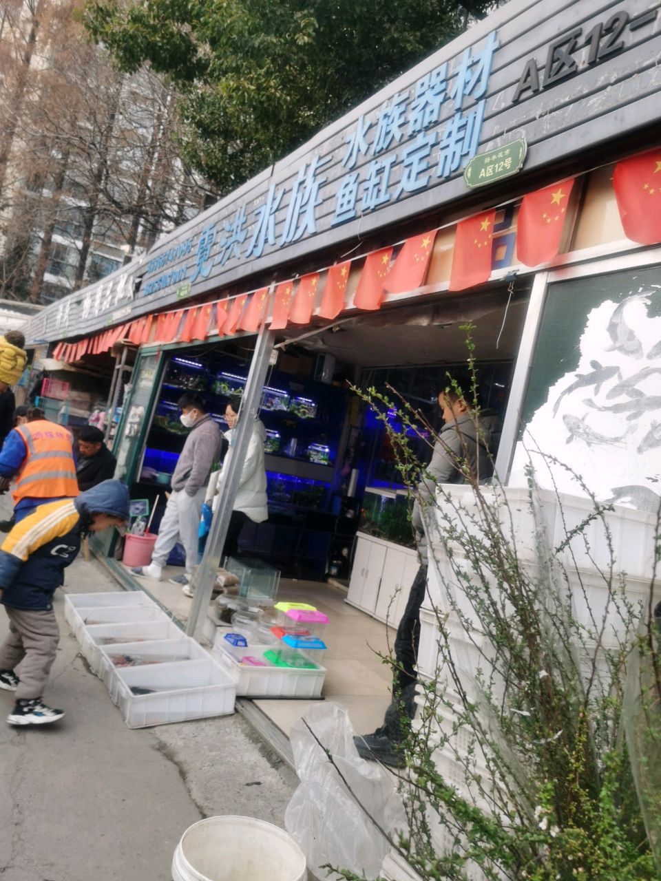 霓洪水族