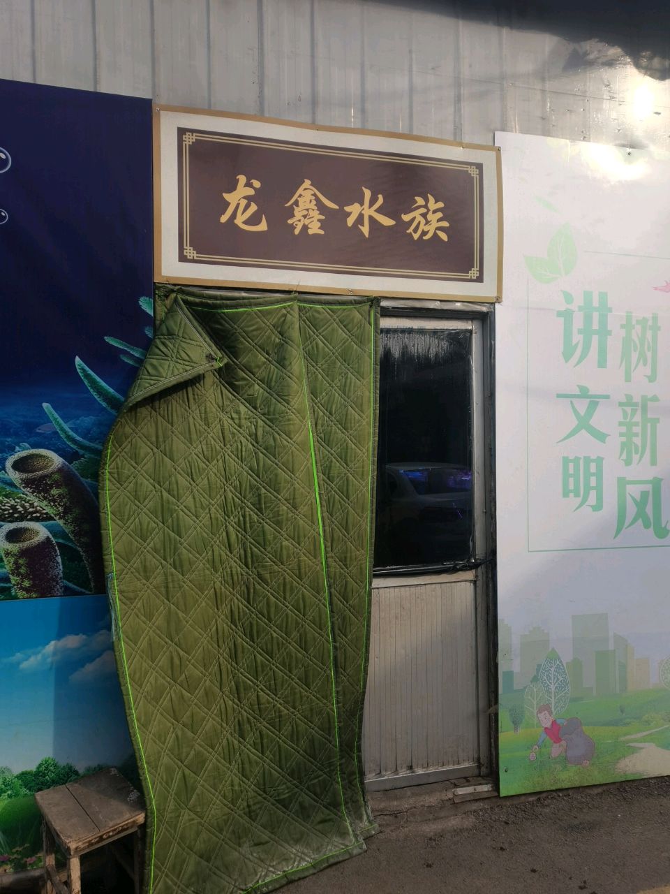 龙鑫水族(桥东便民市场店)