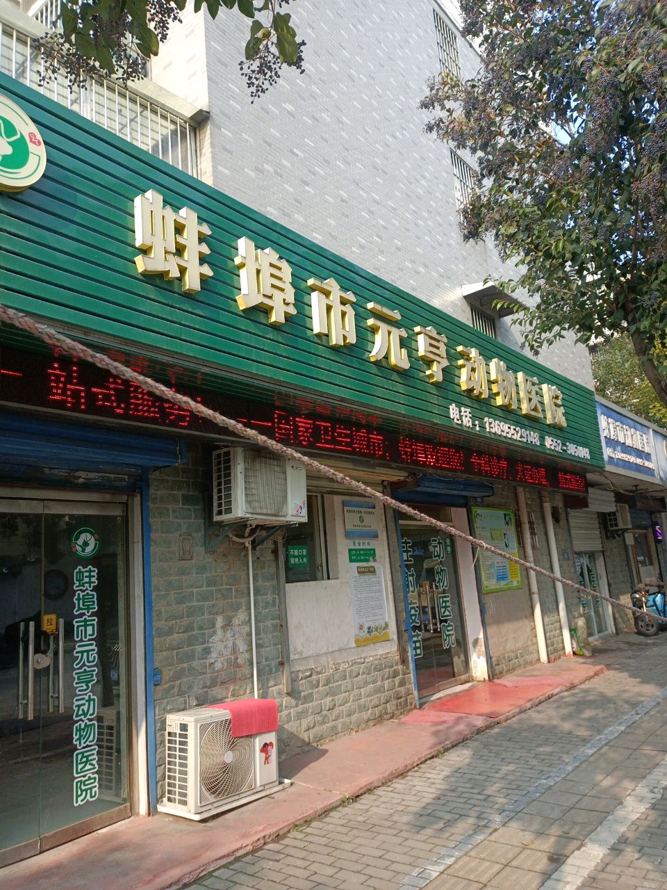 蚌埠市动物医院