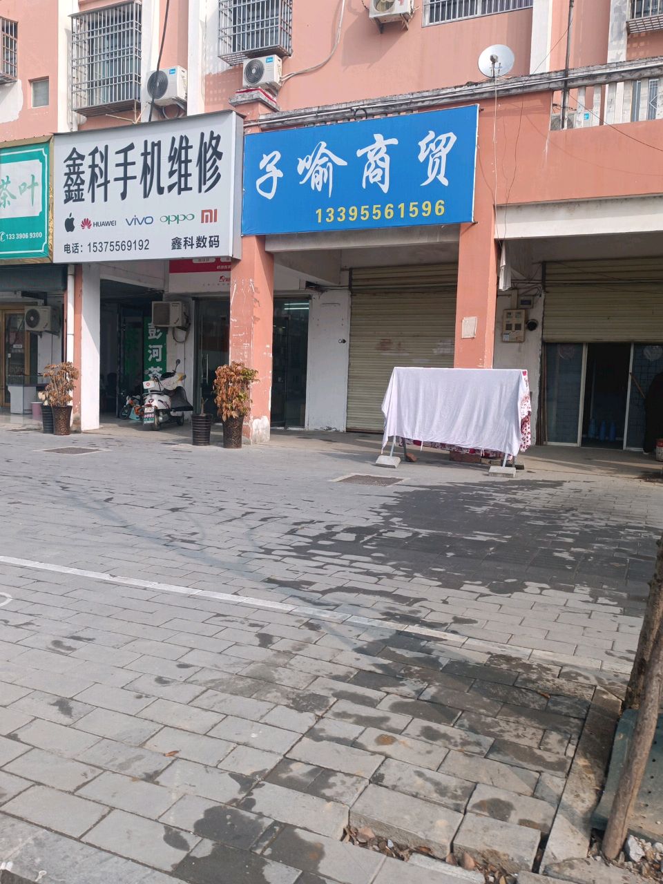 彭河茶叶