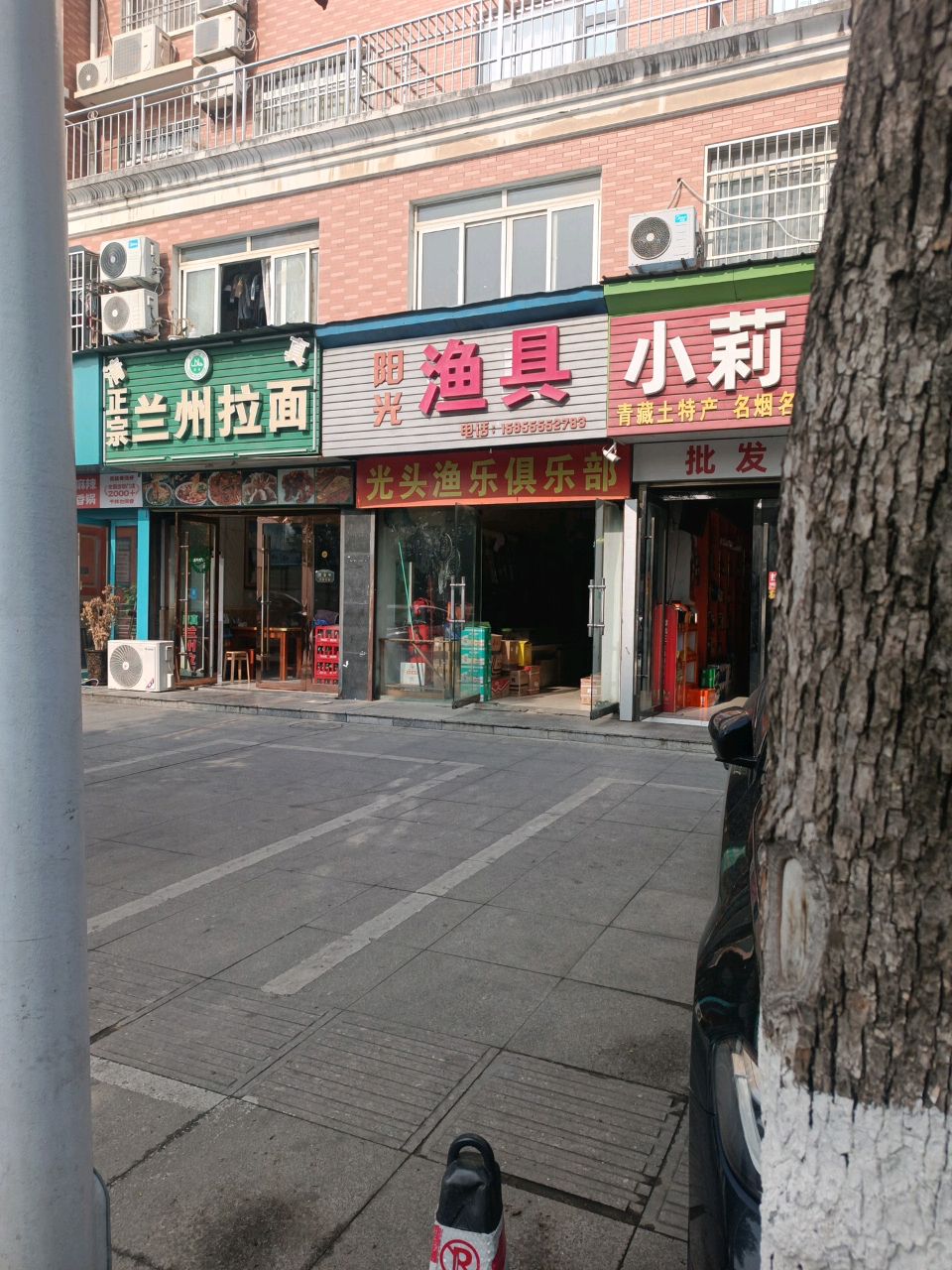阳光渔具(阳光城店)