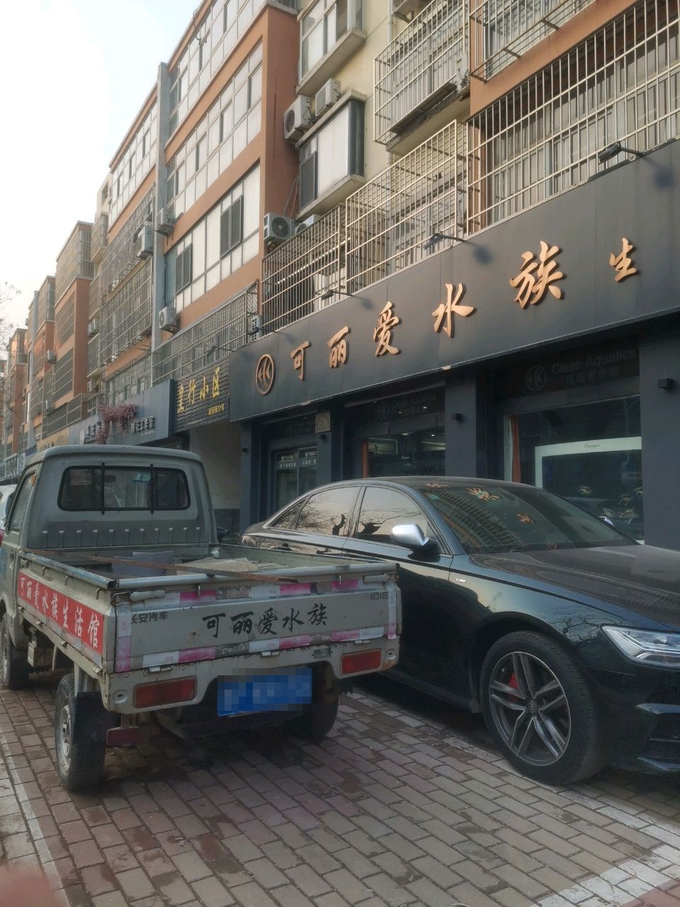 可丽爱水族(政府街店)