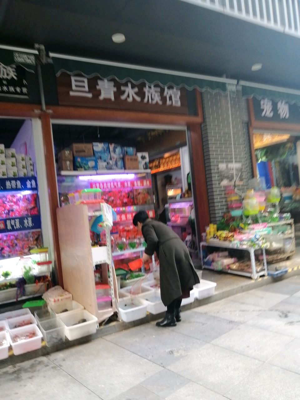 旦青水族馆