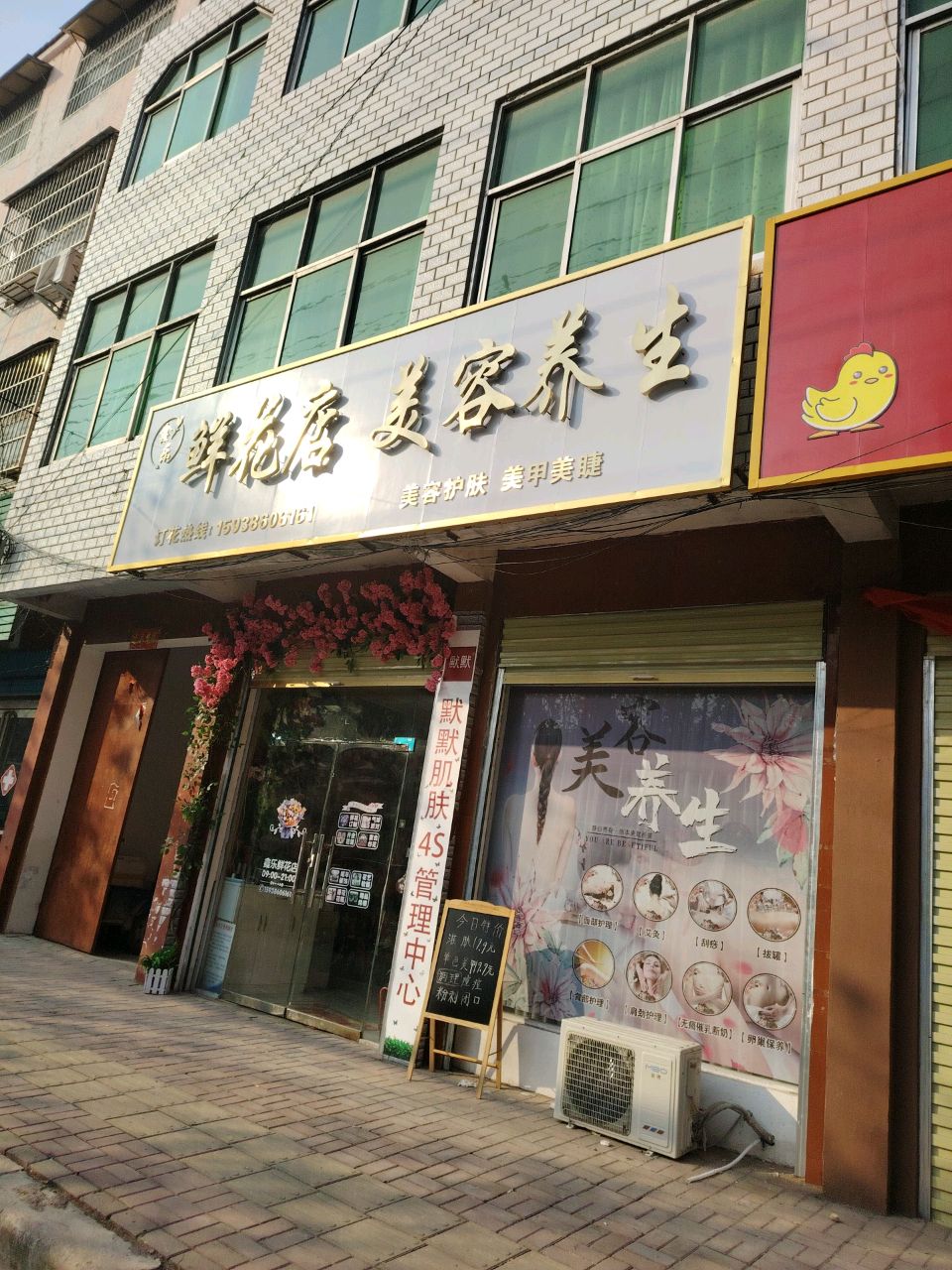 郸城县鑫乐鲜花店