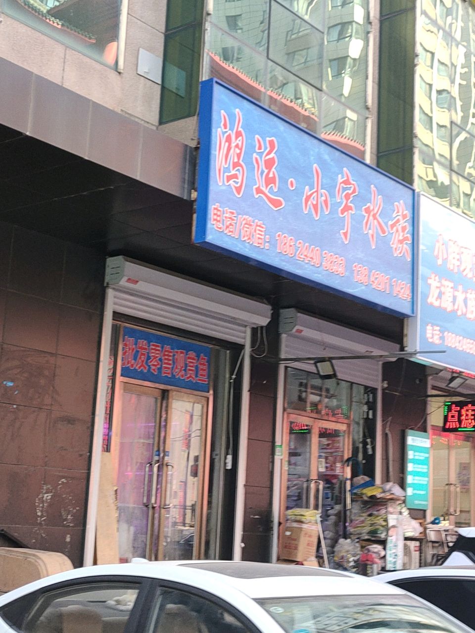 鸿运·小宇水族(平和苑店)