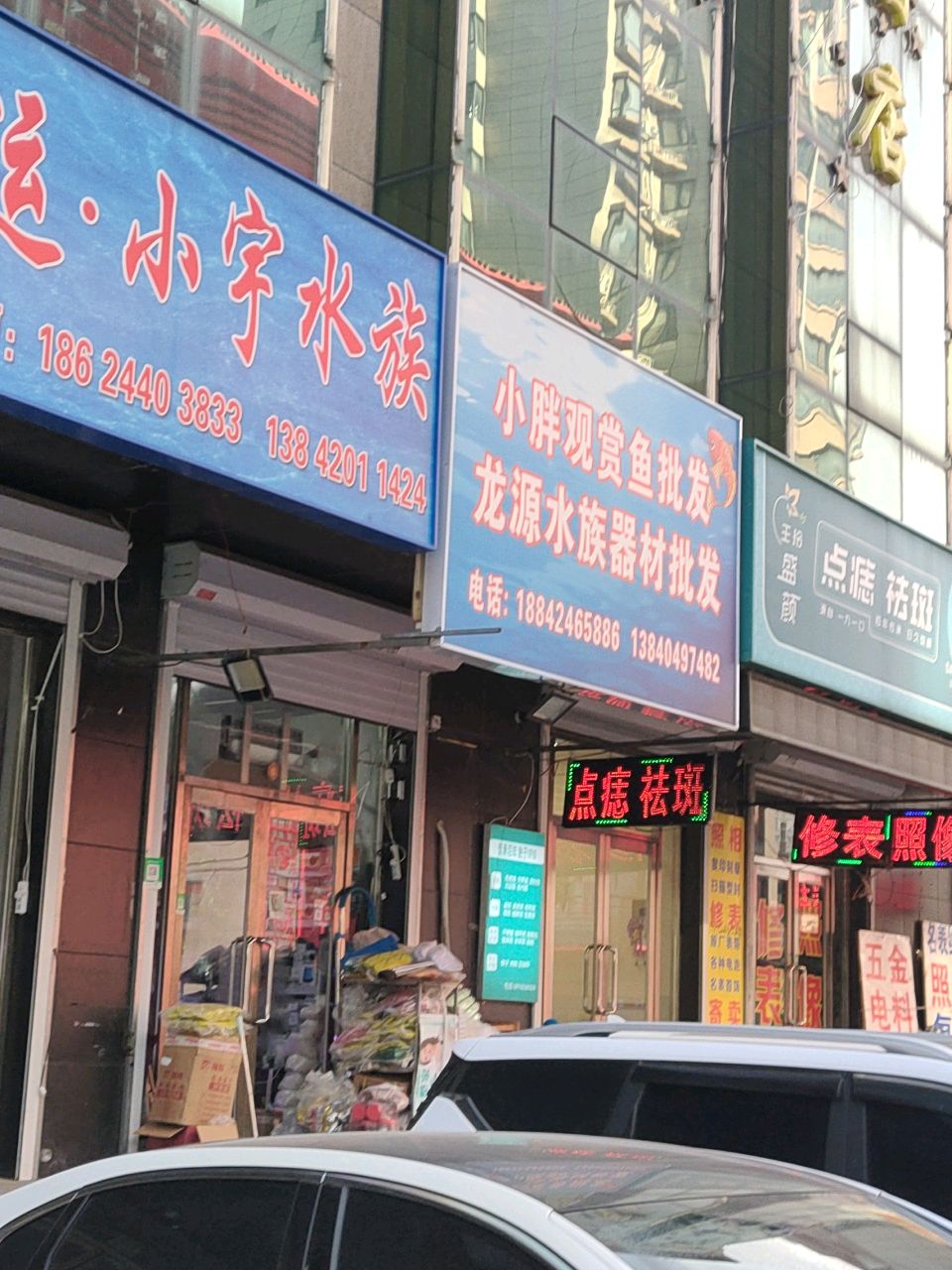 小胖观赏鱼批发(平和苑店)