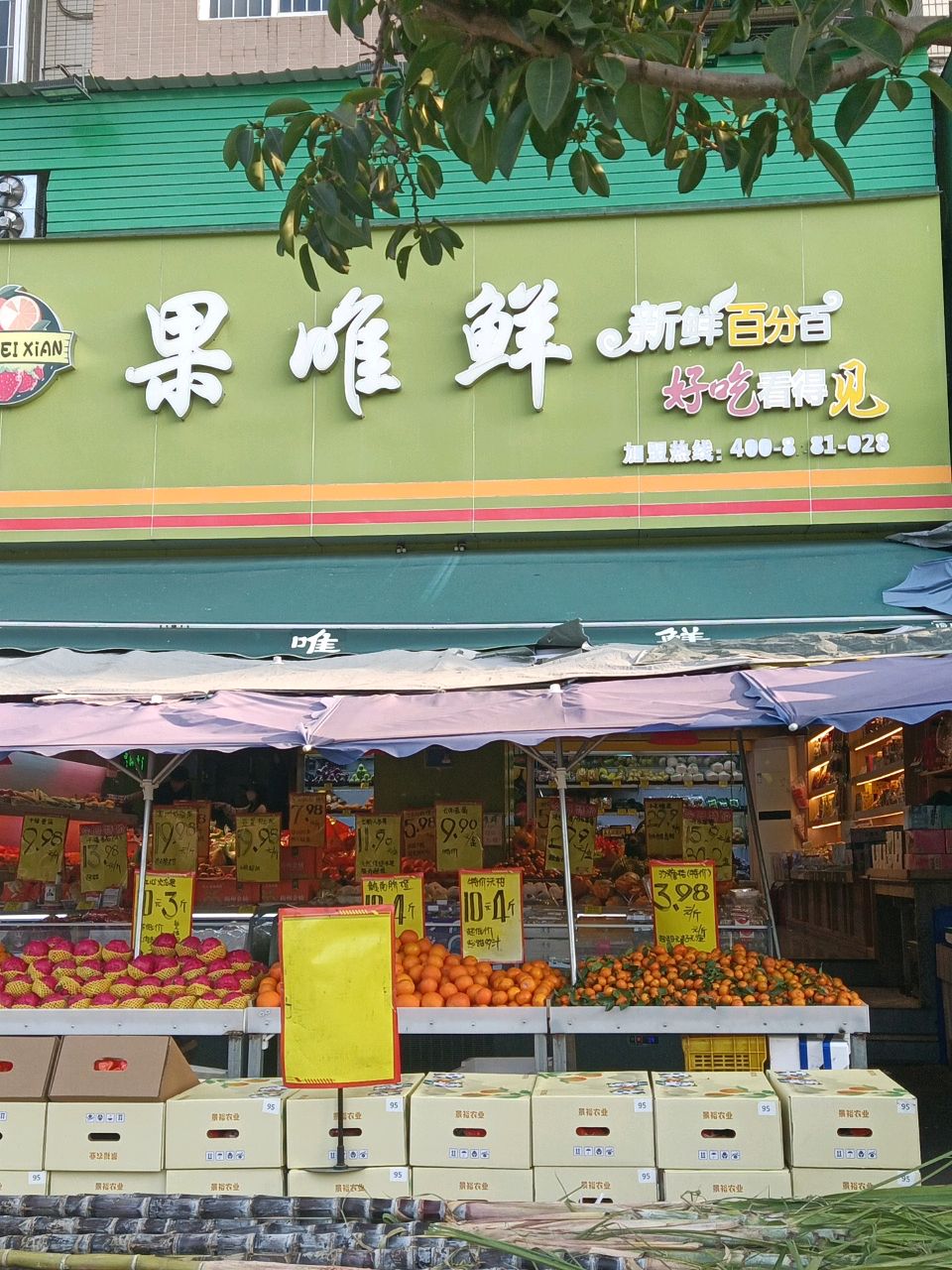 泰鲜