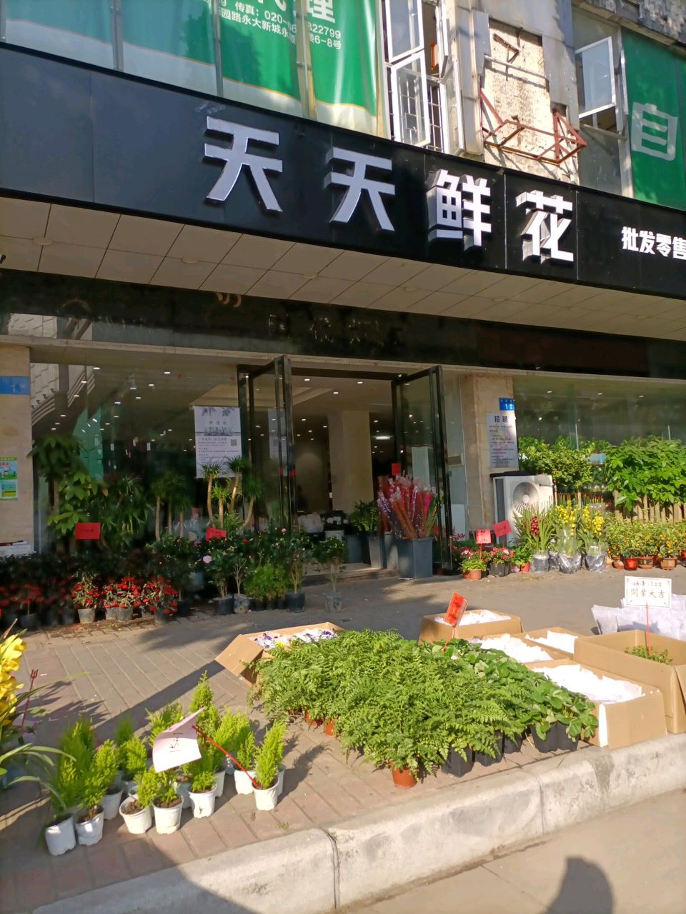 天天花