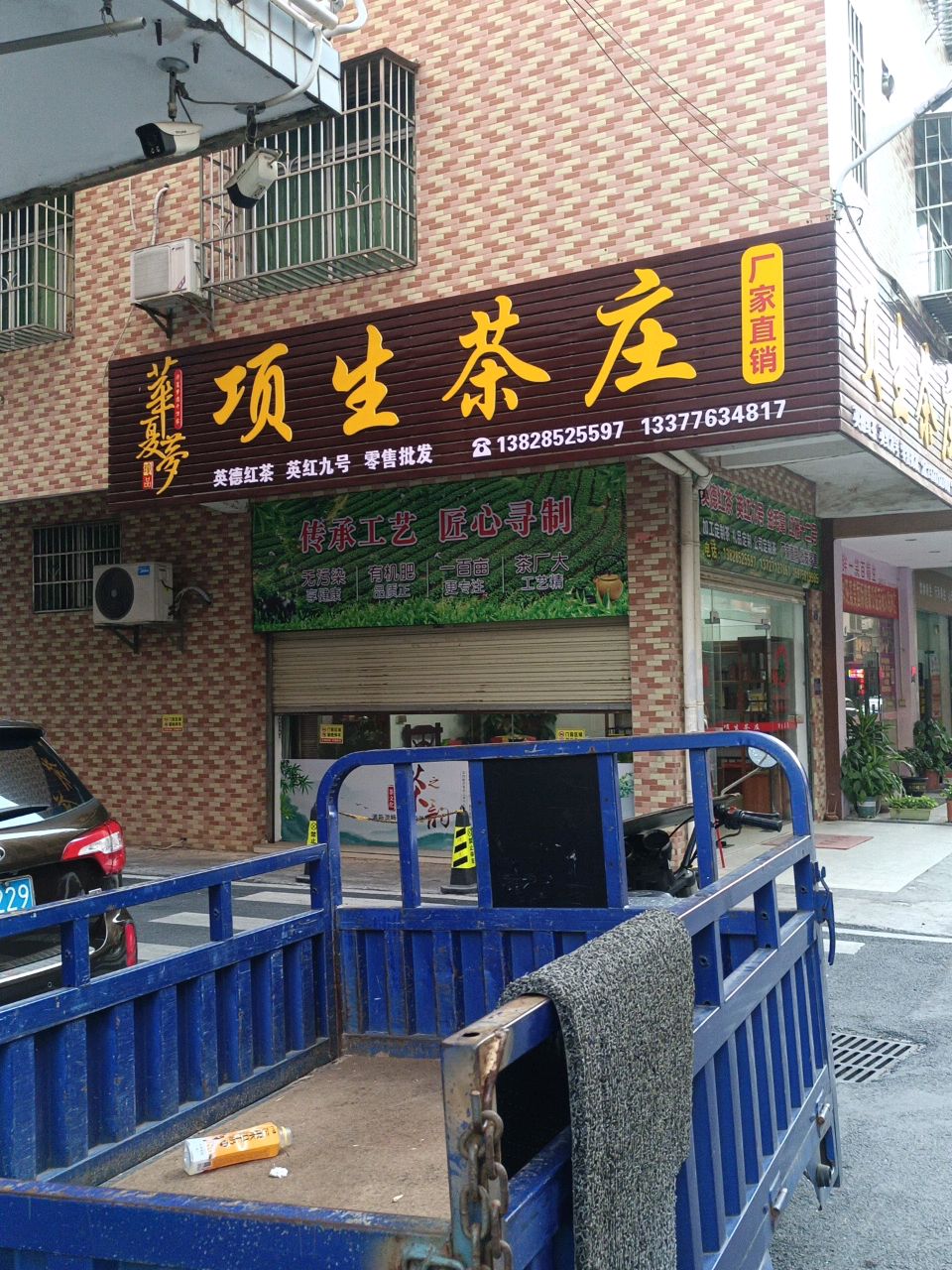 项生茶叶
