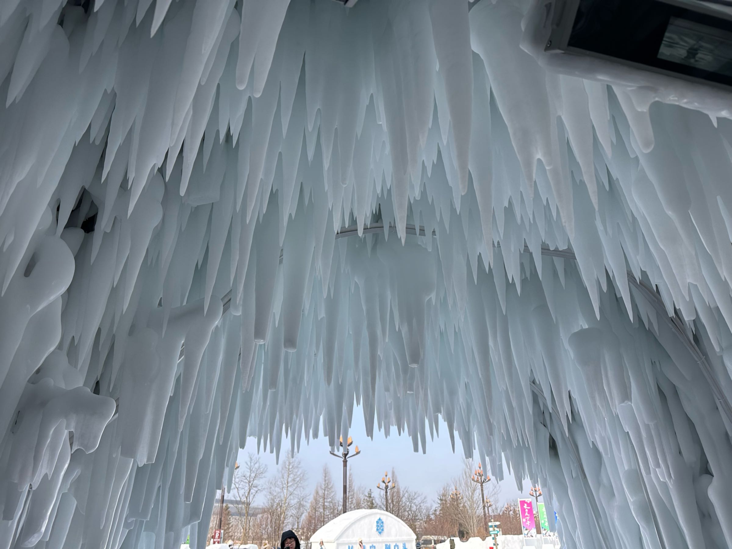 长白山雪绒花驯鹿园