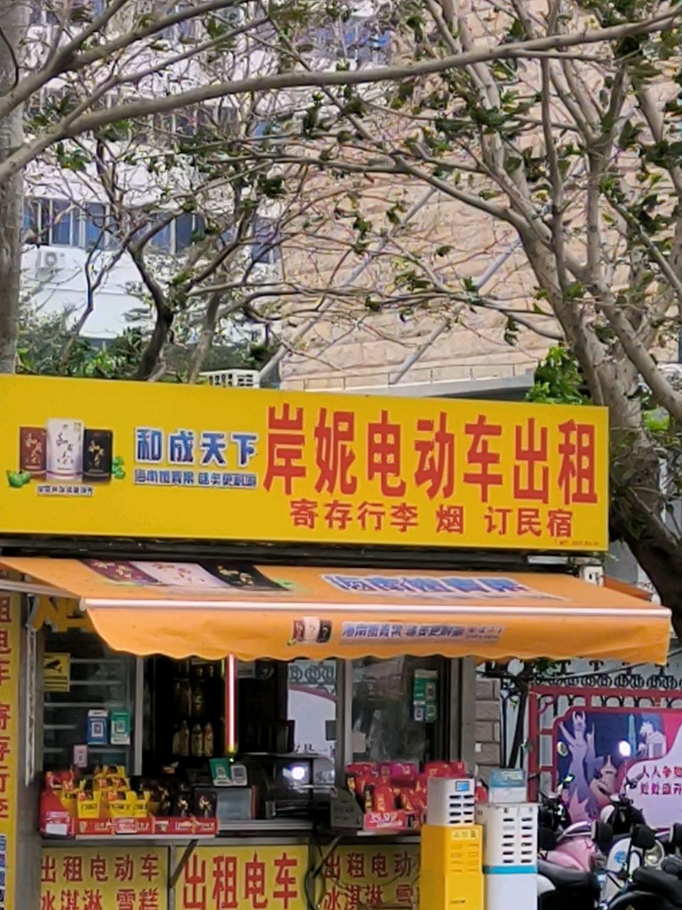 岸妮电动车出租