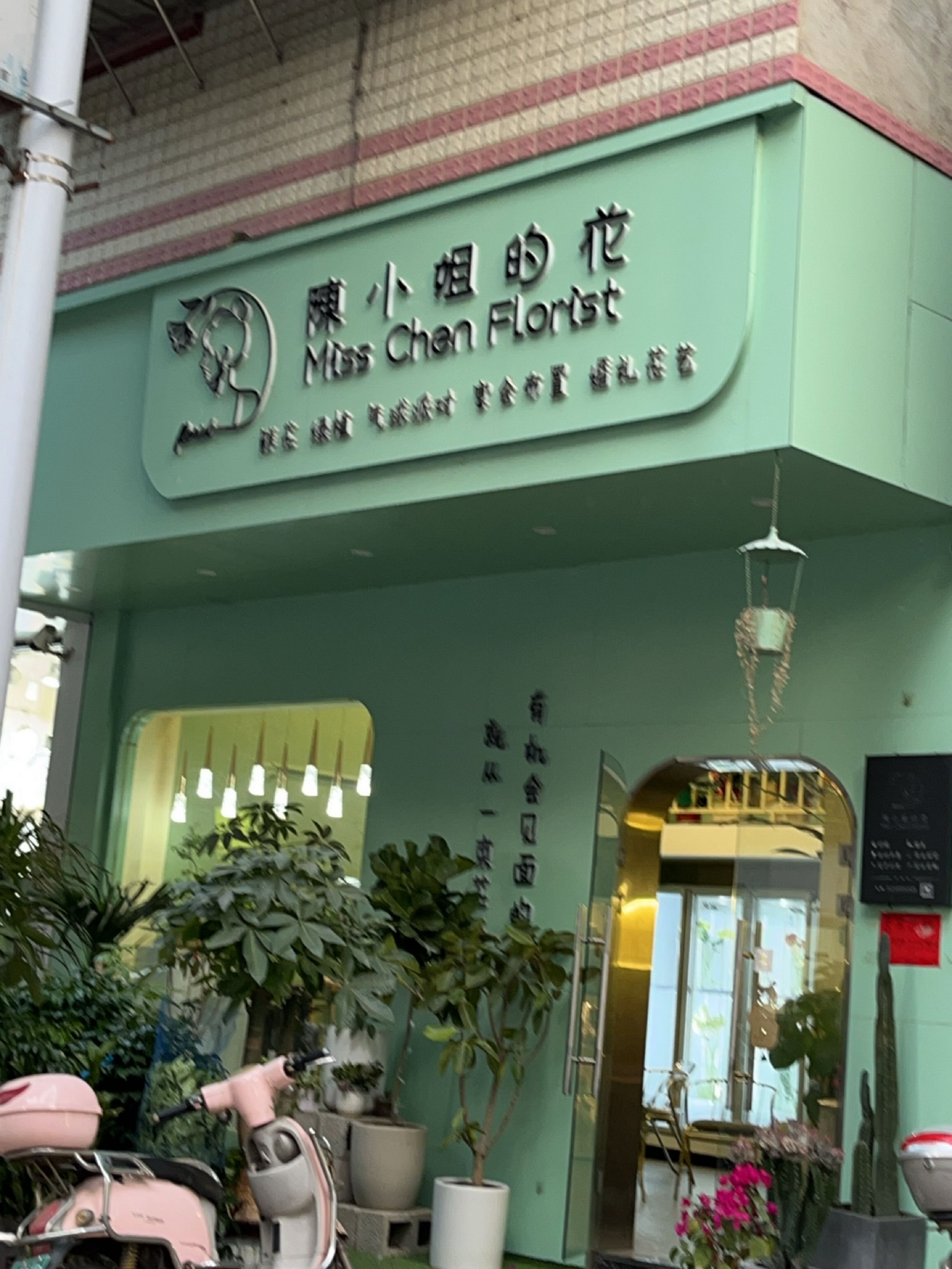 陈小姐的花店