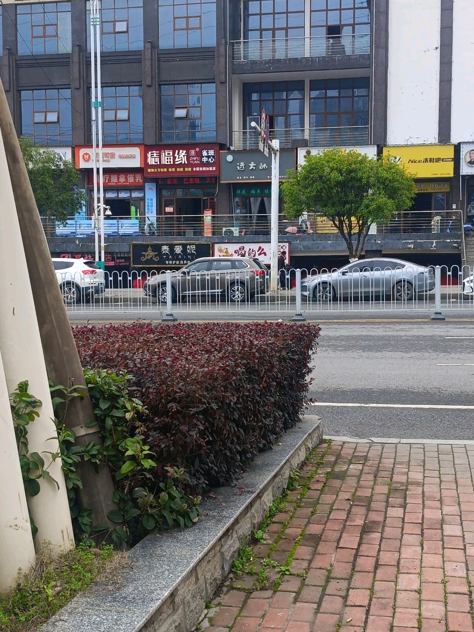 远方的花(新世界商业广场店)