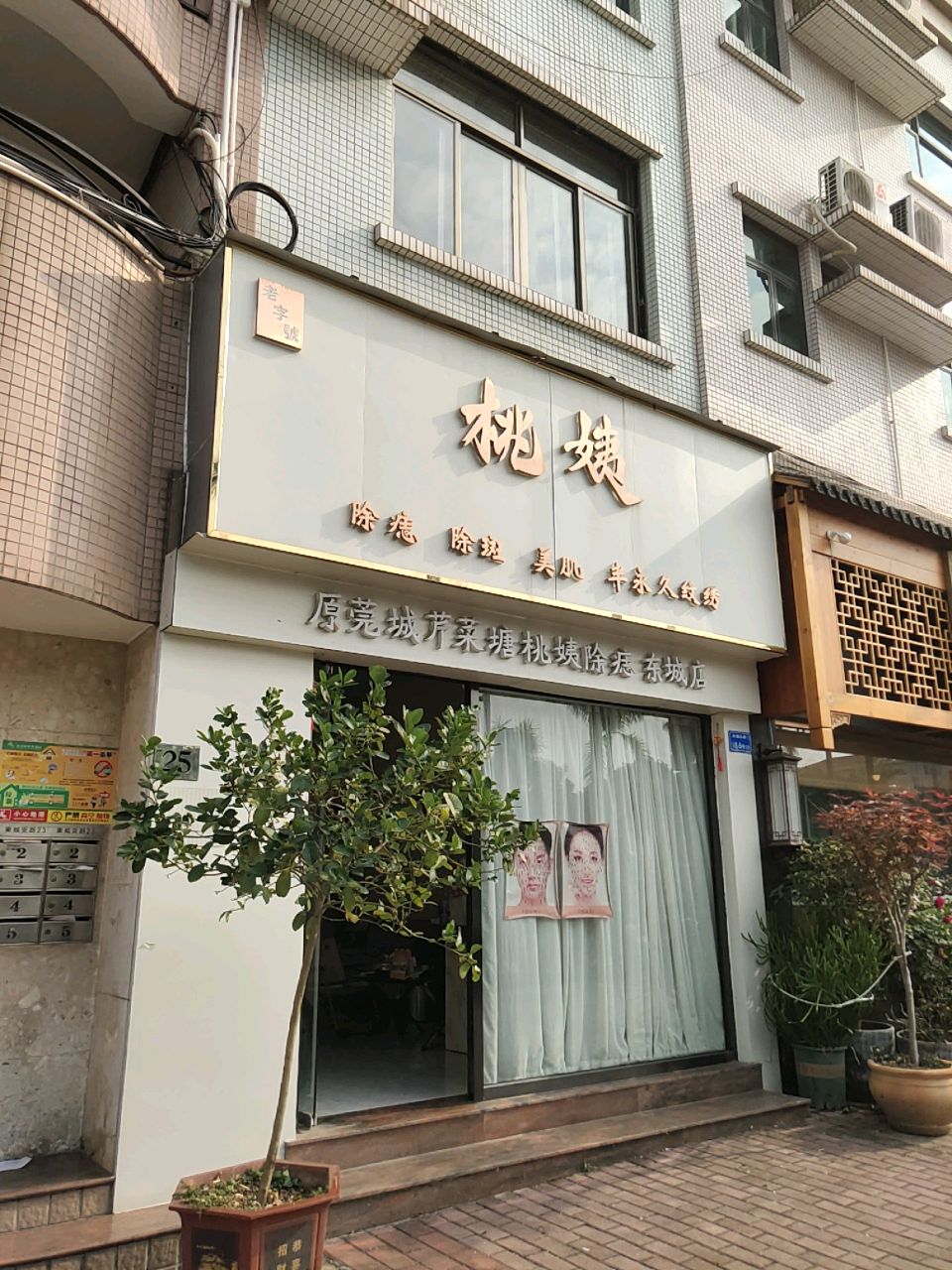 桃姨(东城店)