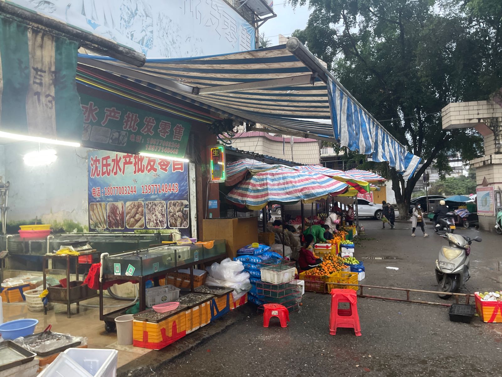 沈氏水产批发零售