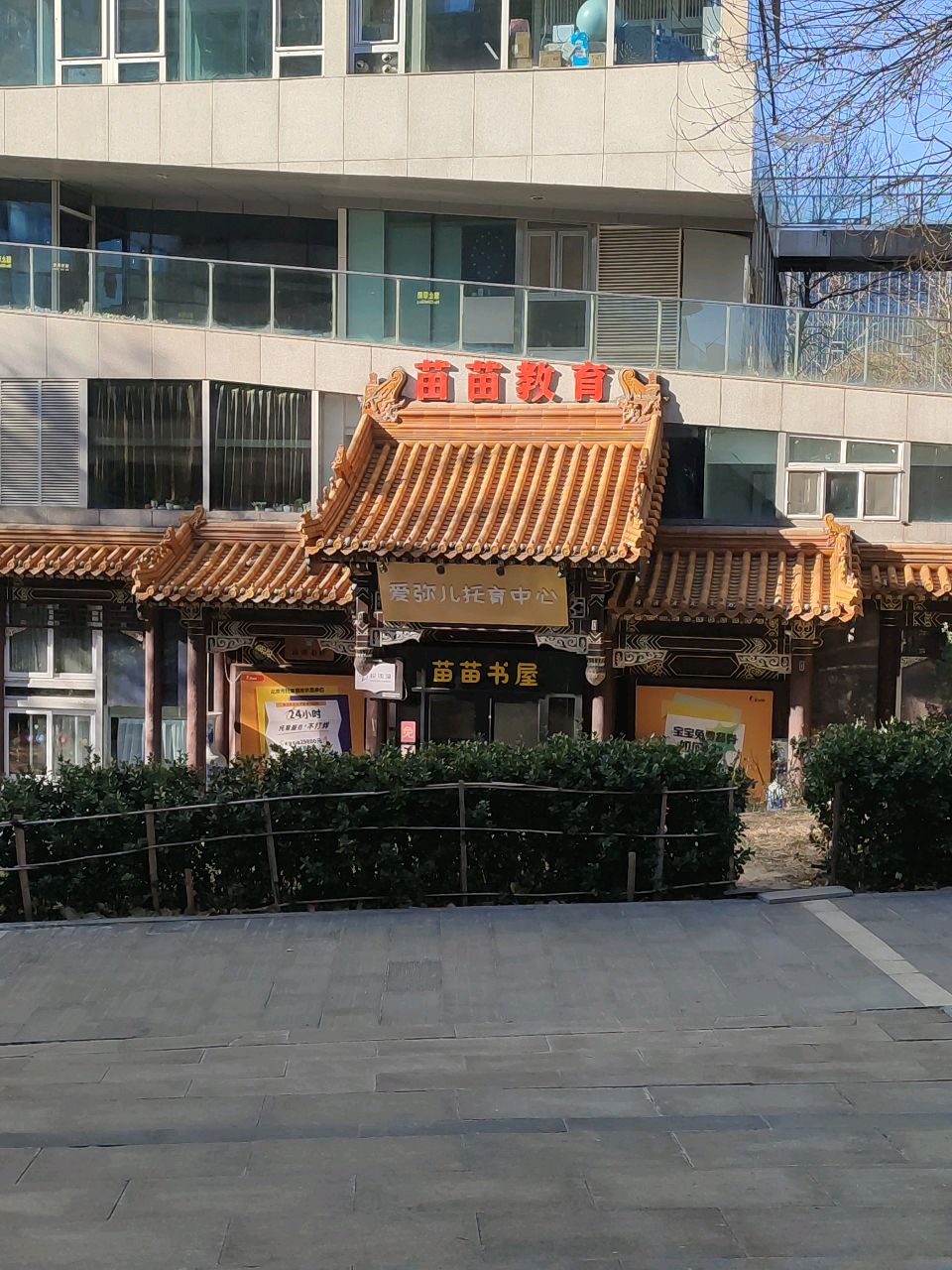 苗苗市教育