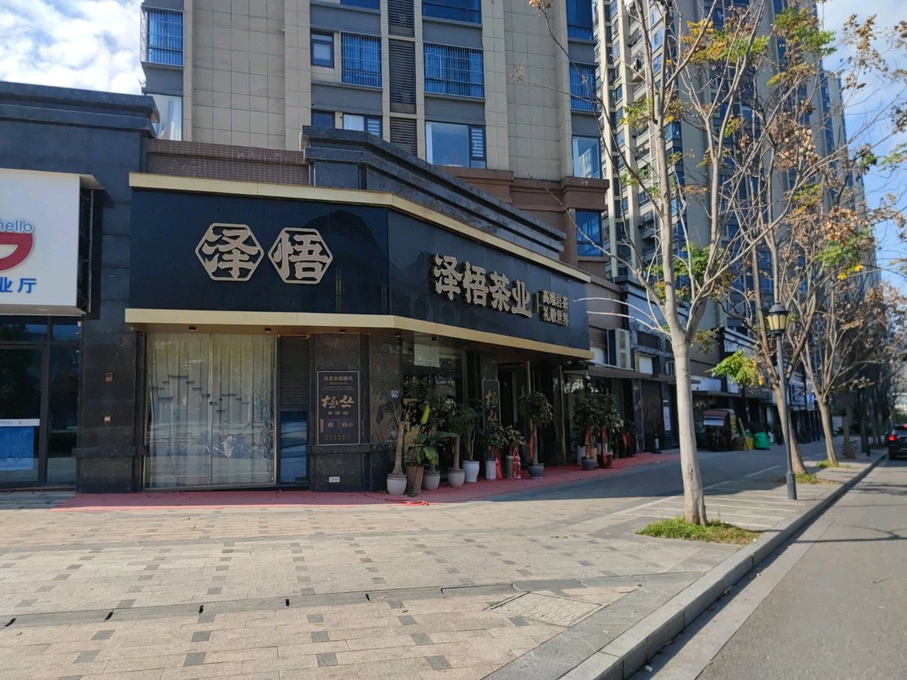 泽悟茶叶旗舰店