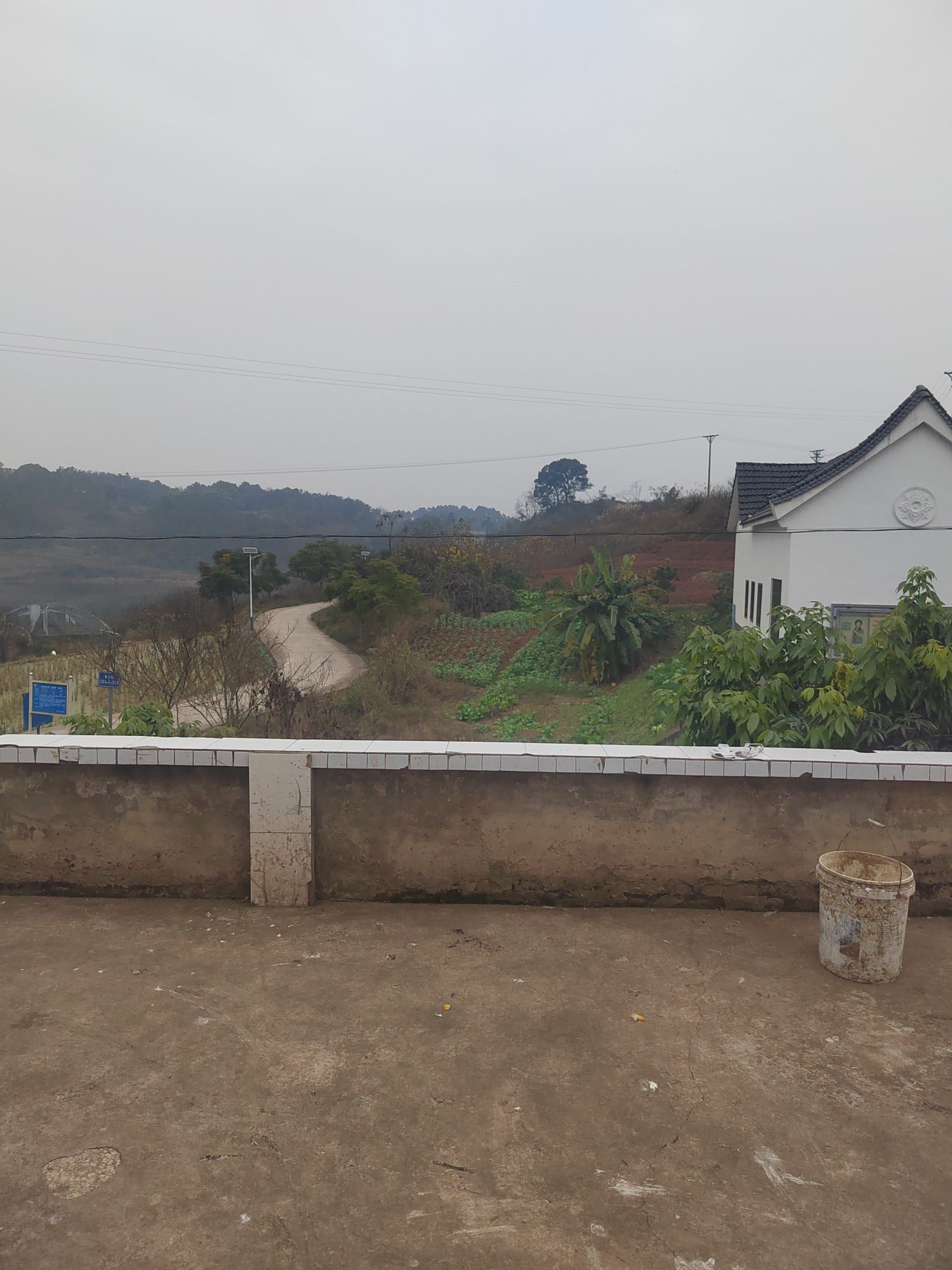 普照村