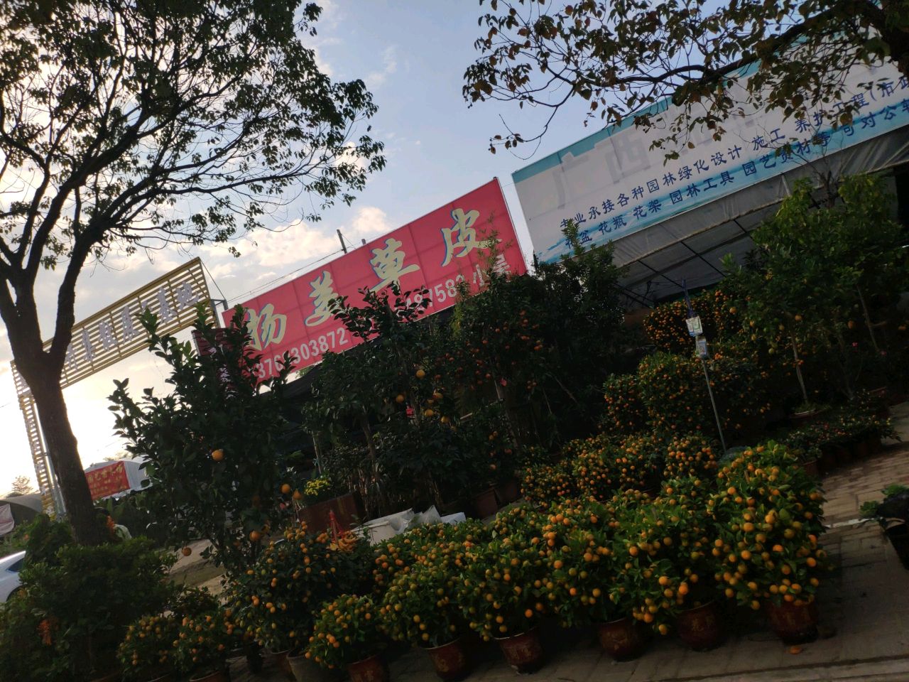 邕武花卉集散展示基地