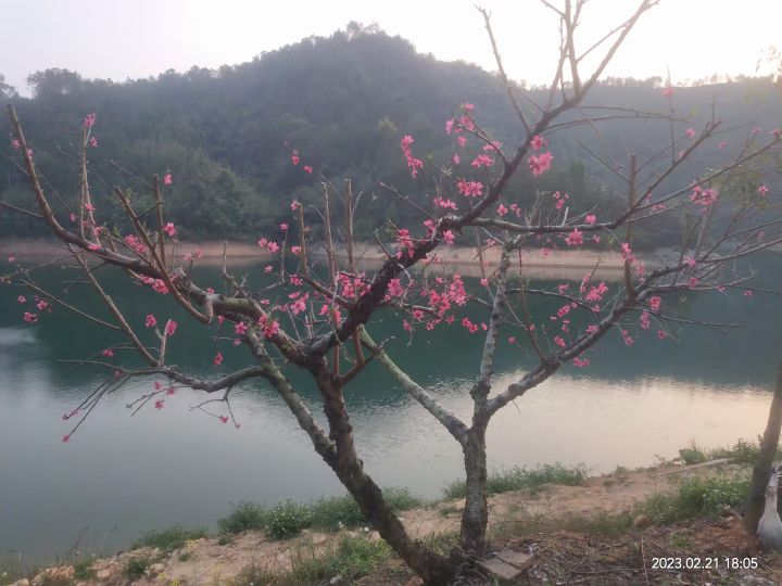 广东省河源市能信桃花岛纳兰小宝自驾车露营地(新下村店)