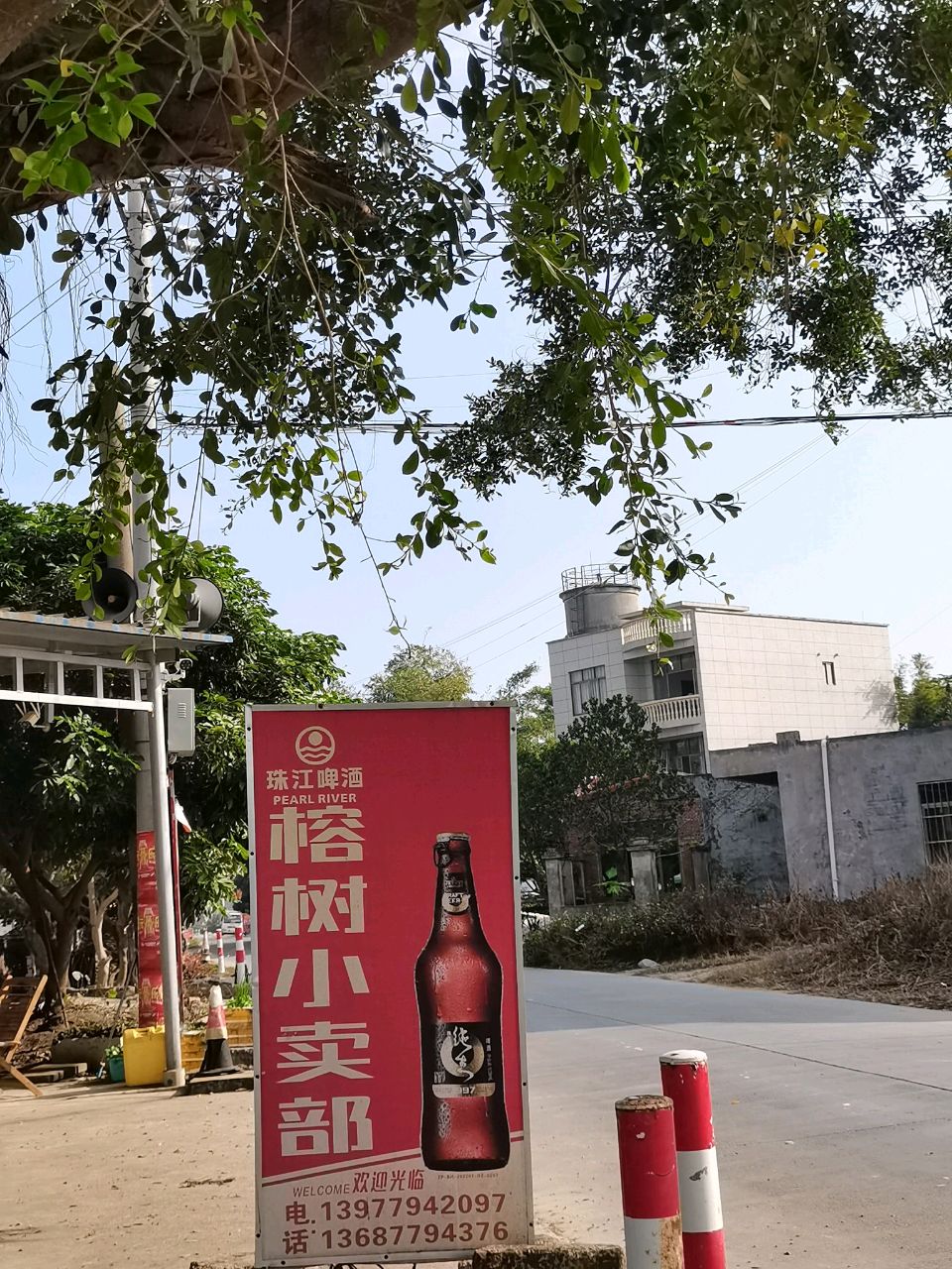 榕树小卖部