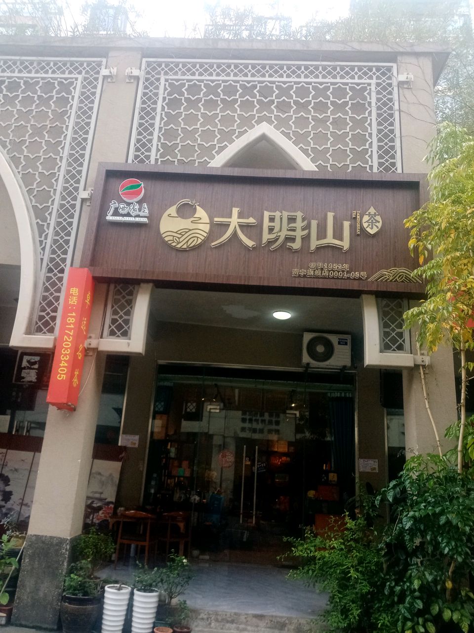 大明山茶