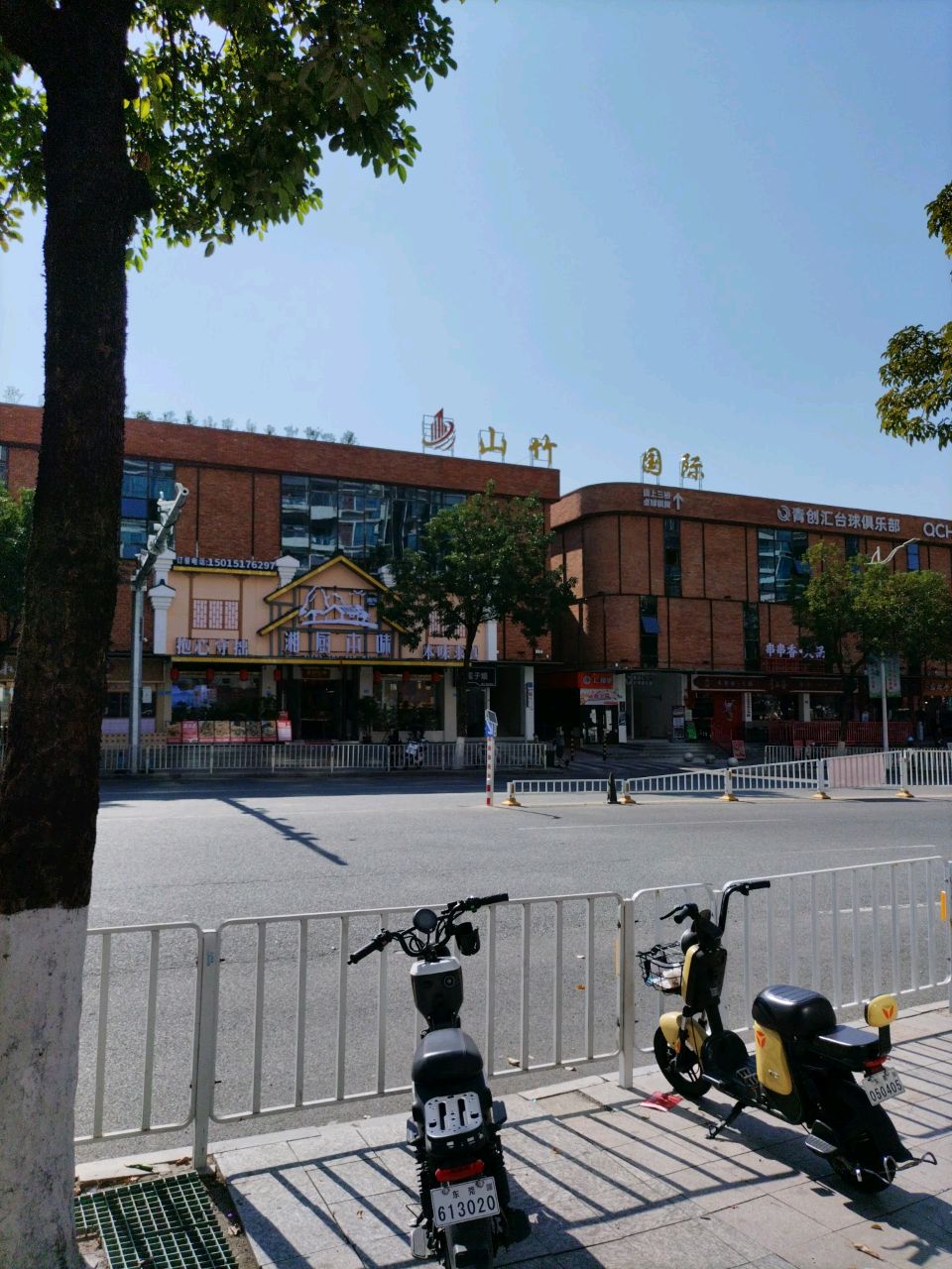 山竹国际