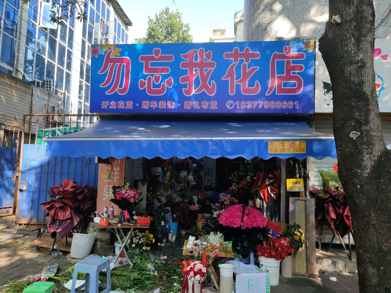 勿忘我花店