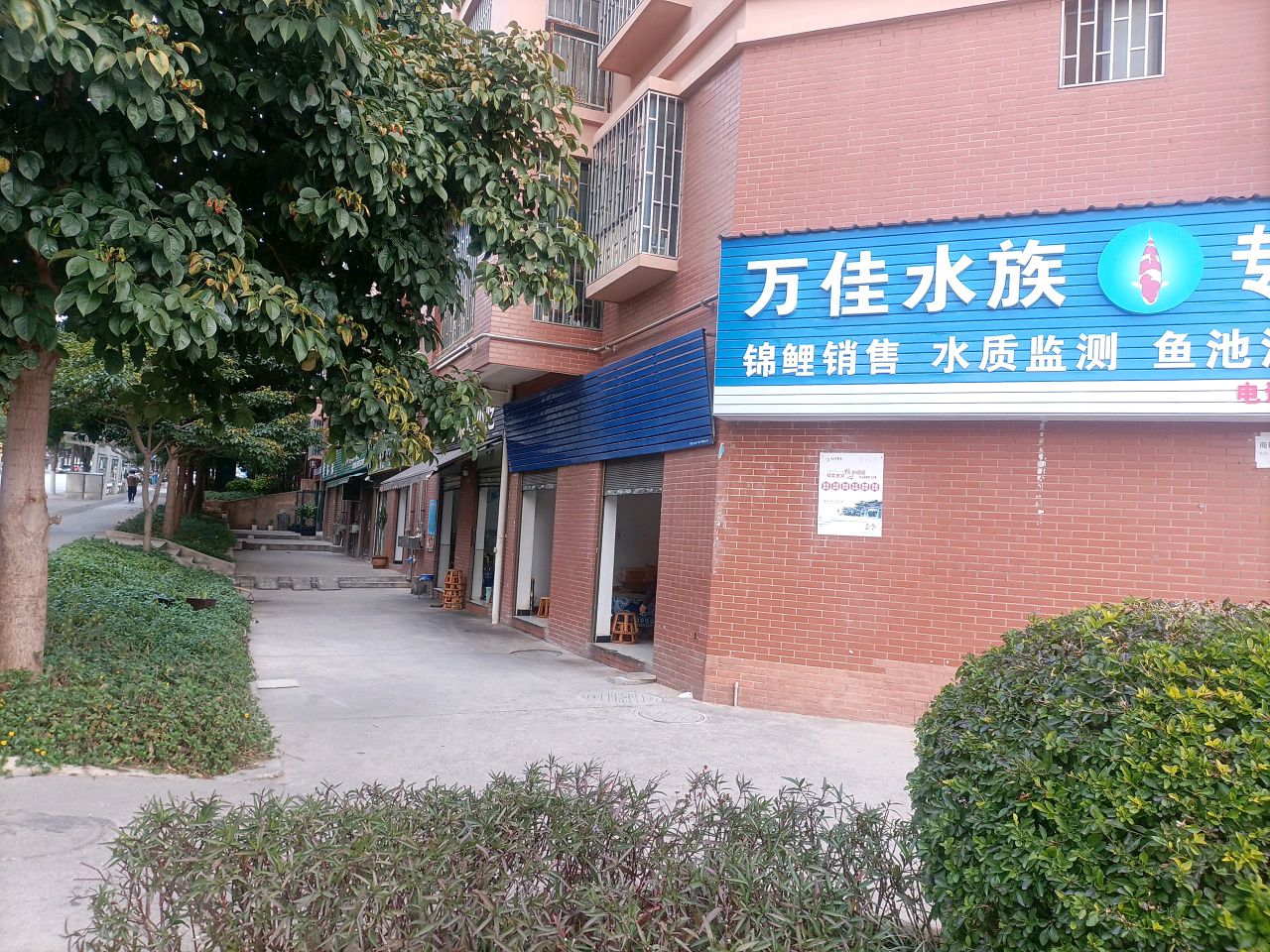 万佳水族
