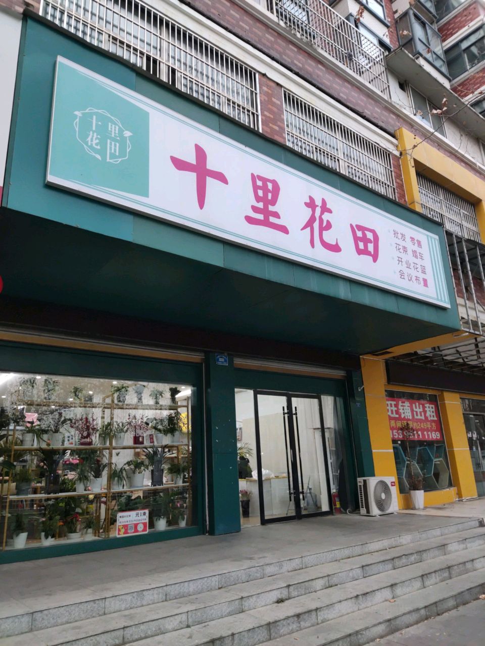 十李花田