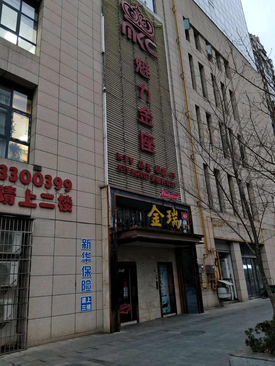 金瑞国际