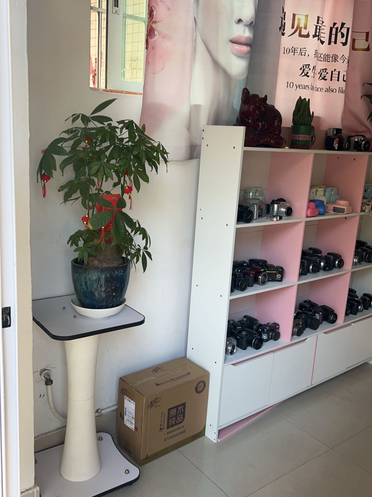 致青春数码