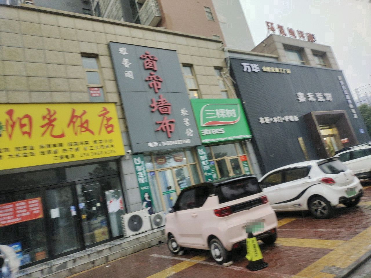 三棵树漆(洪河大道店)