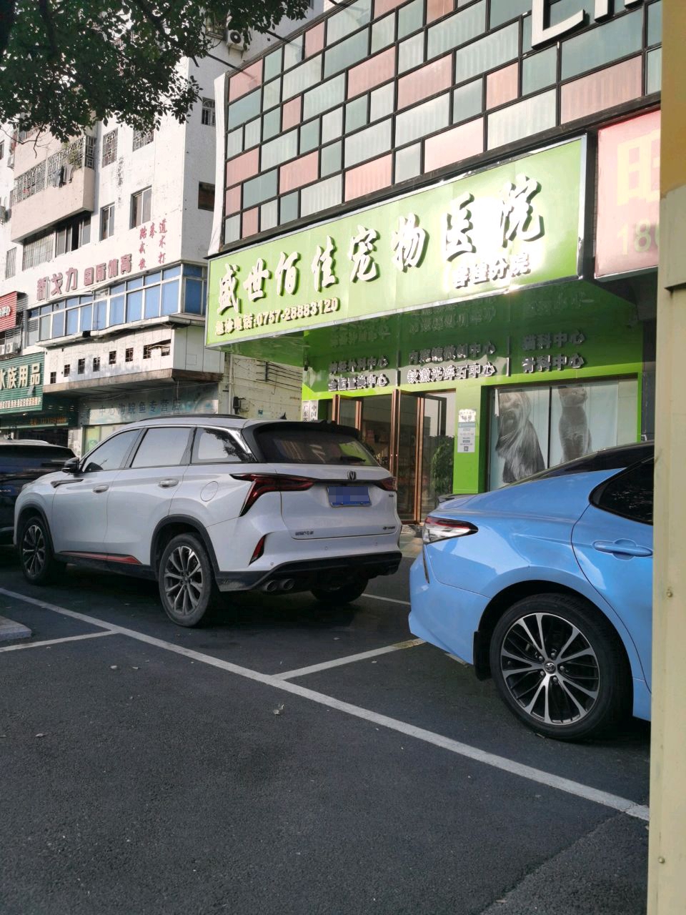 新戈力国际体育