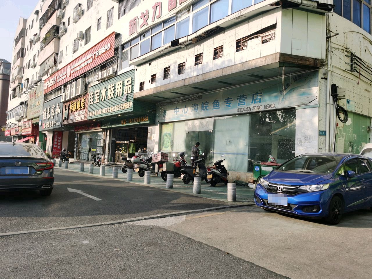 新戈力国际体育