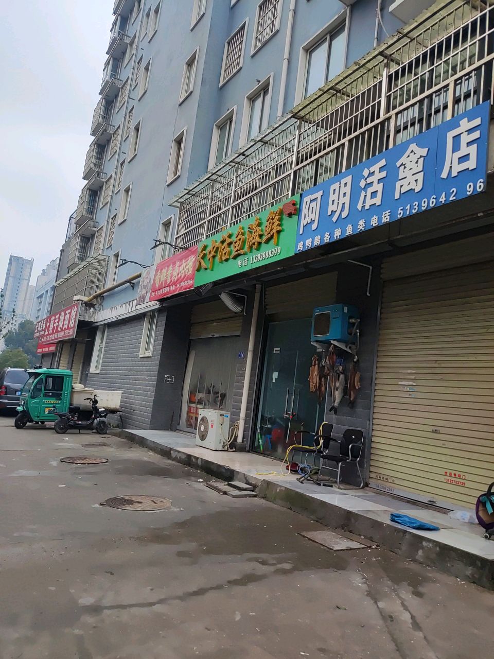 阿明活禽店