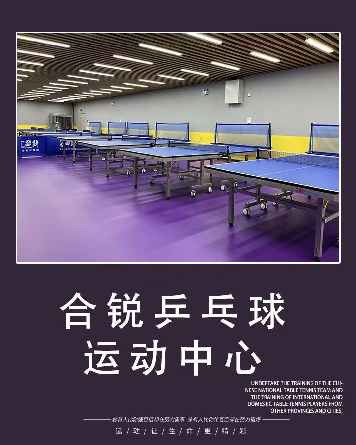 合锐乒乓球俱乐部(华苑物美店)