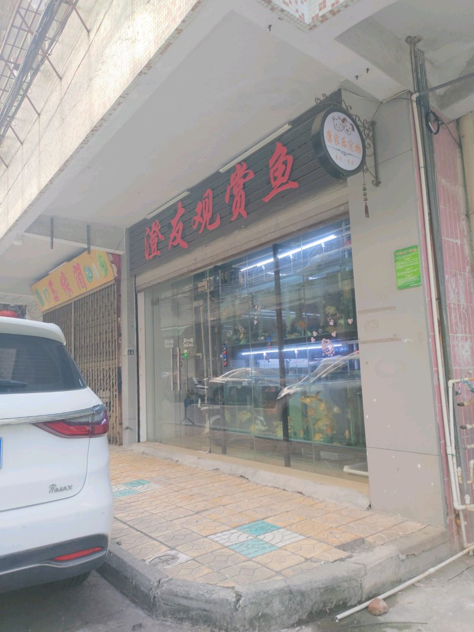 澄赏鱼踢观邰友糍