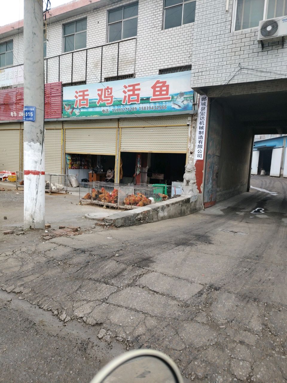 郸城县活鸡活鱼(支农路店)