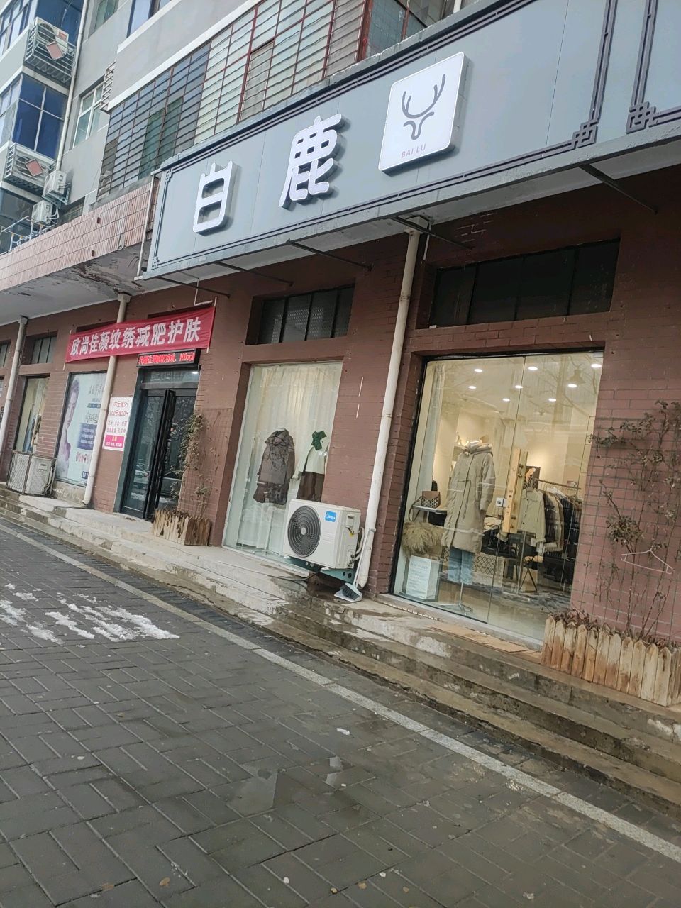 白鹿
