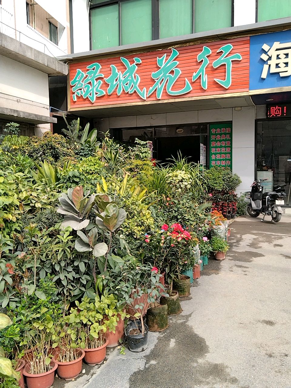 绿城花行