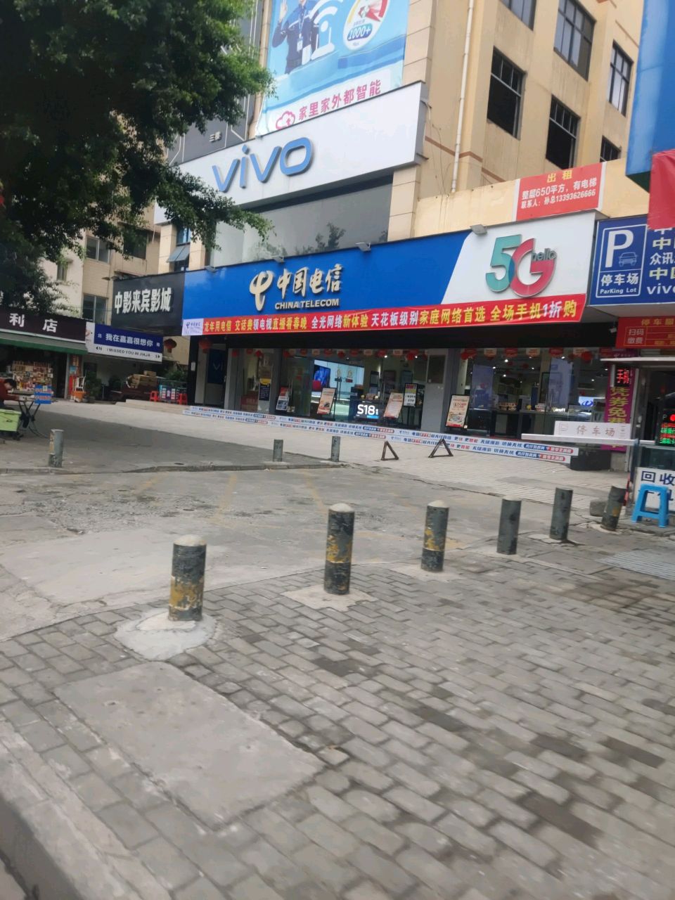 阳阳便利店(中南路店)