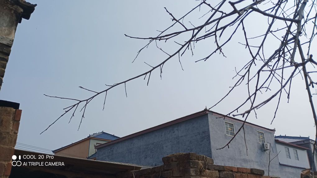 西张村