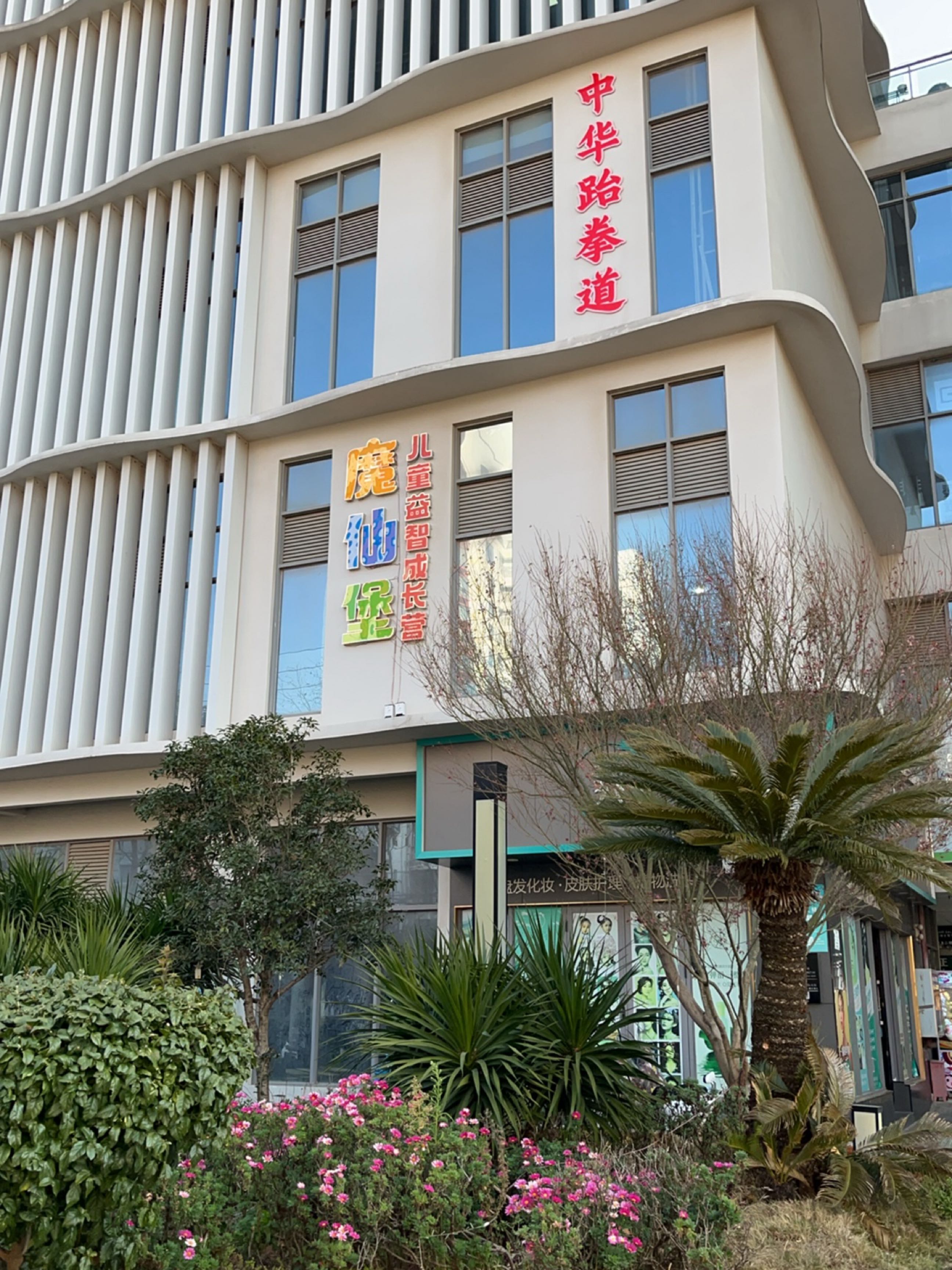 中华跆拳道