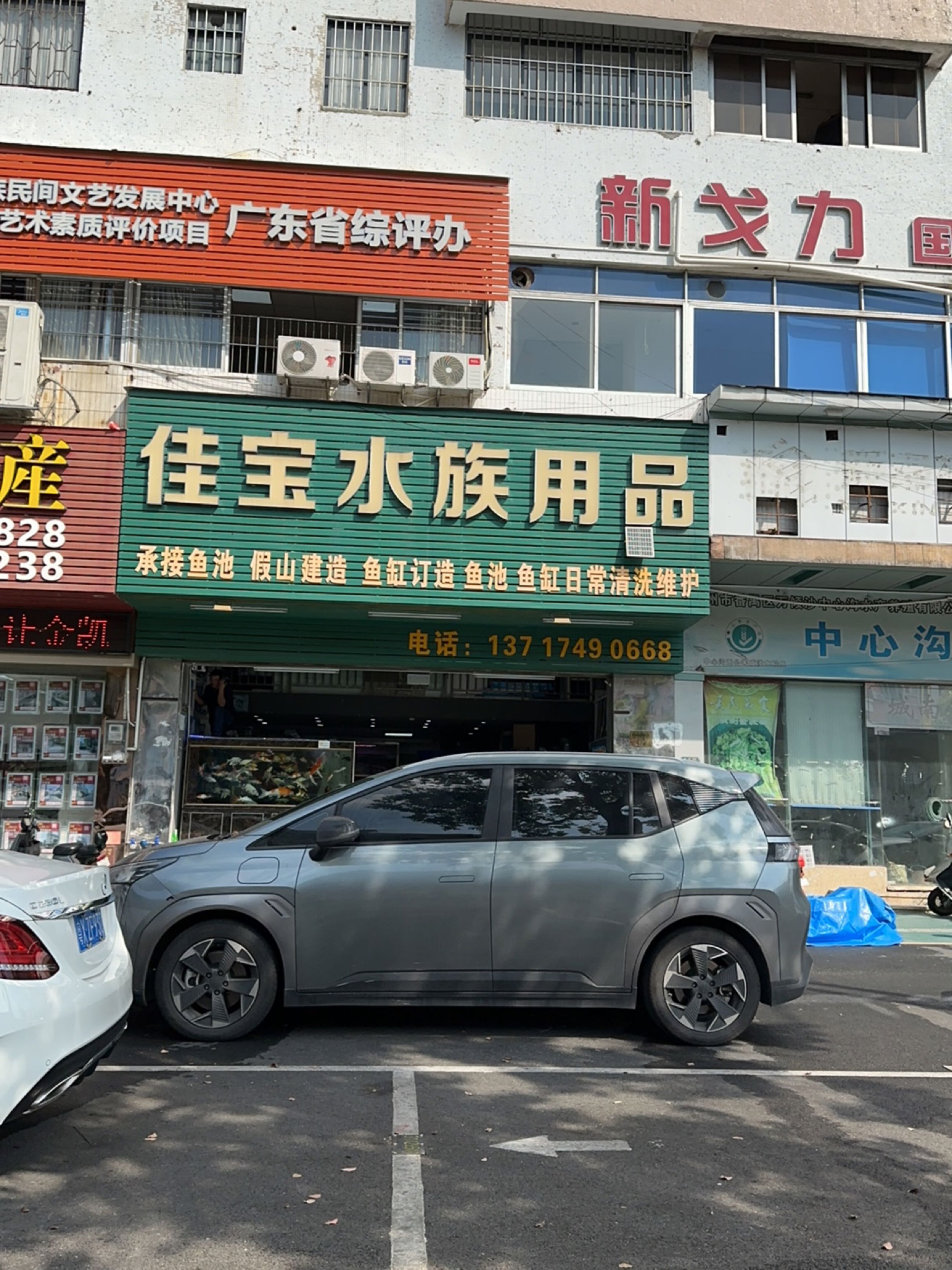 佳宝水族用品(泰兴楼小区店)