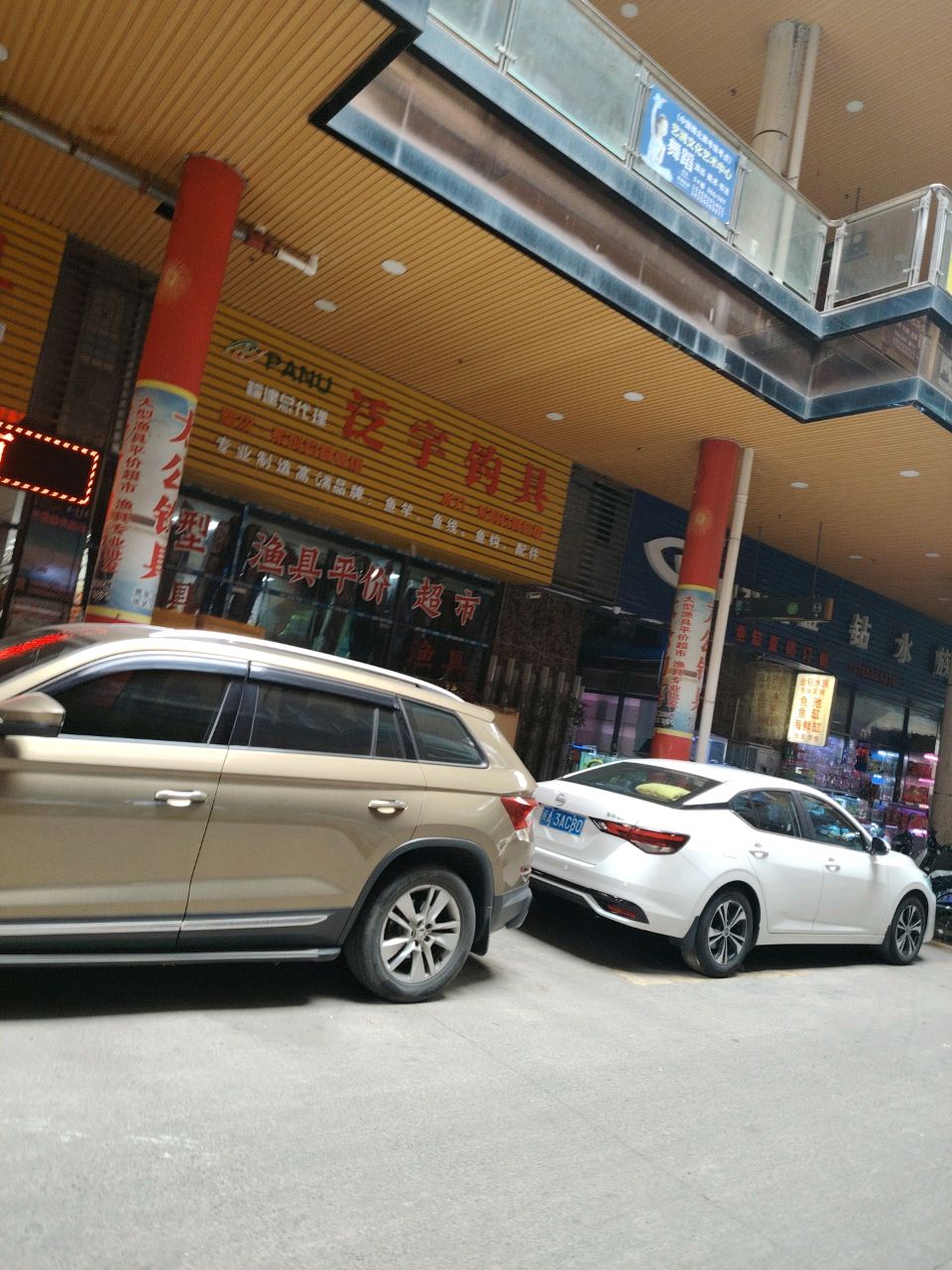 金钻水族