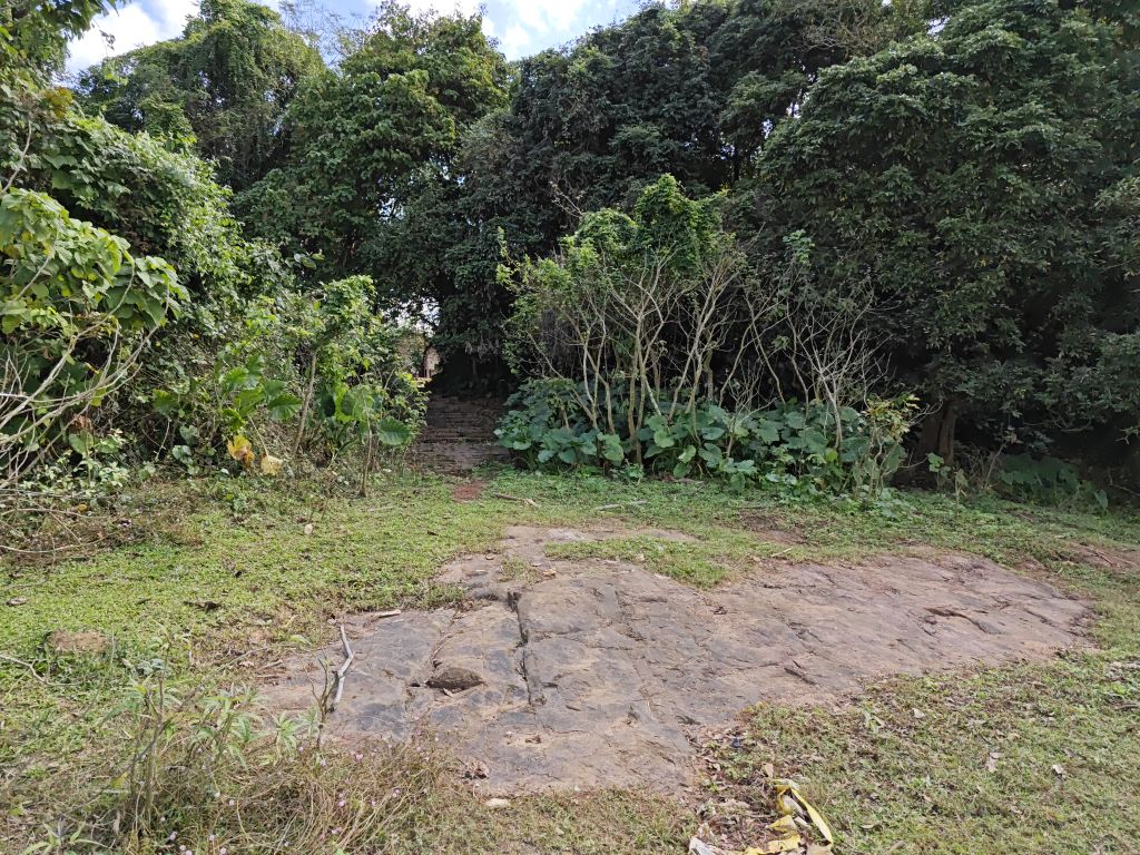 埠头村码头遗址