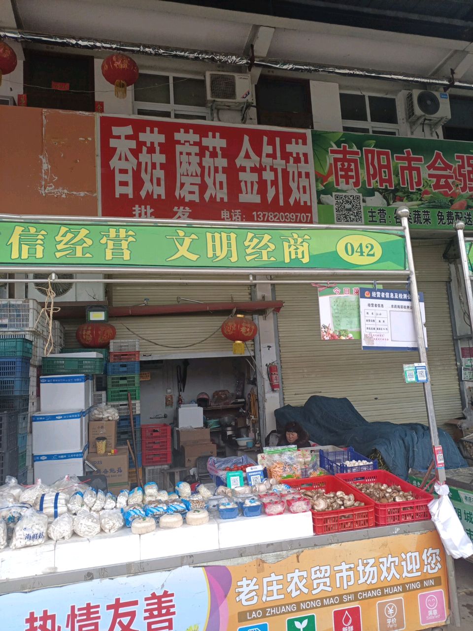 生金针菇